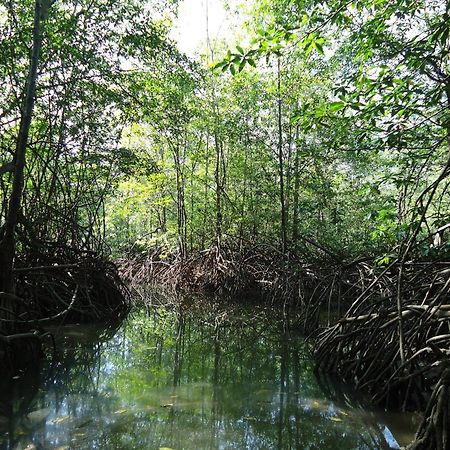 Hotel Veragua River House Sierpe Eksteriør bilde