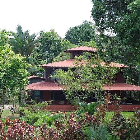 Hotel Veragua River House Sierpe Eksteriør bilde
