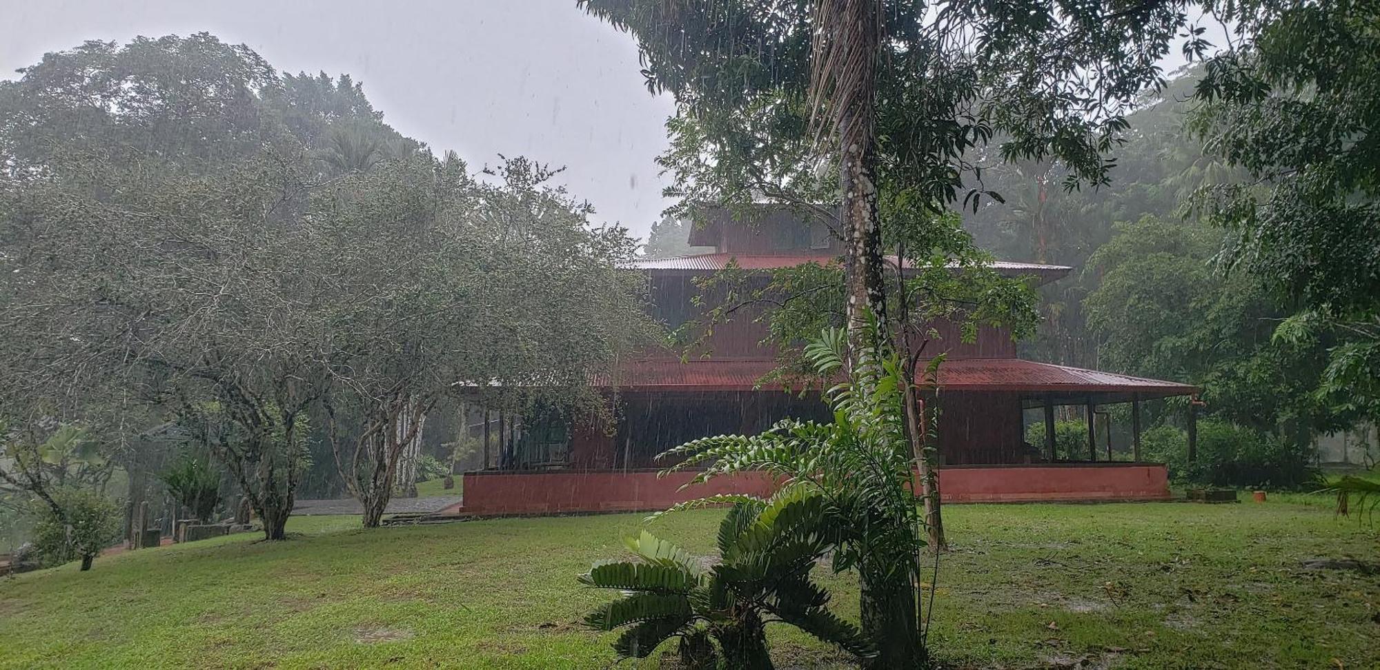 Hotel Veragua River House Sierpe Eksteriør bilde