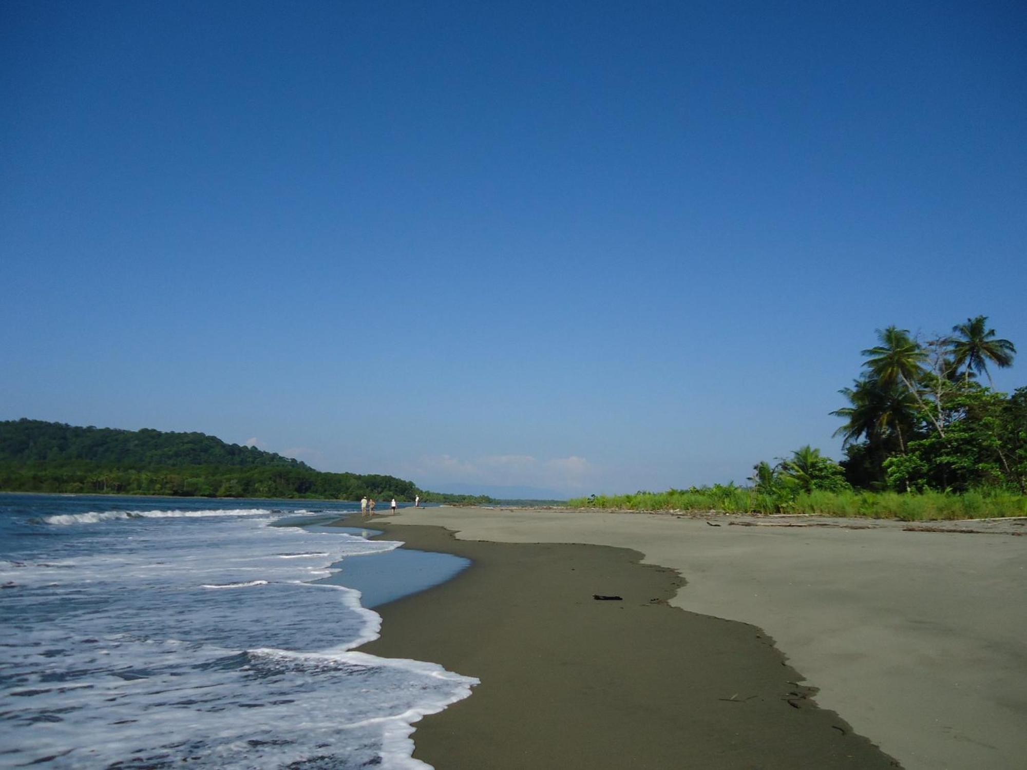 Hotel Veragua River House Sierpe Eksteriør bilde