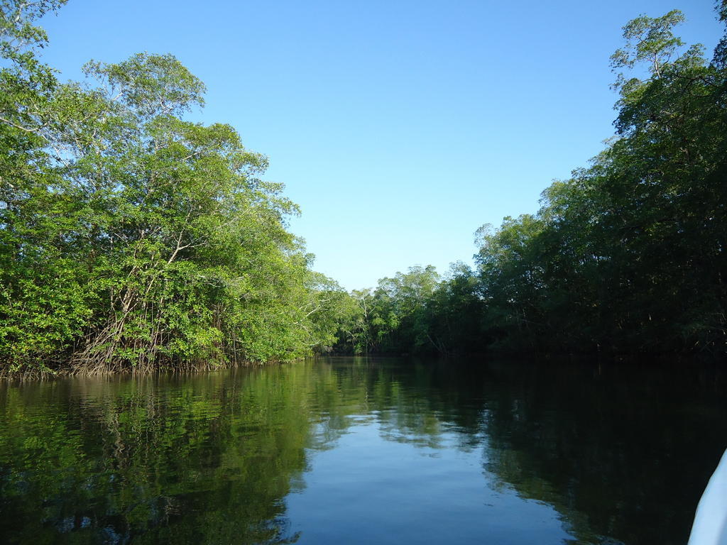Hotel Veragua River House Sierpe Eksteriør bilde