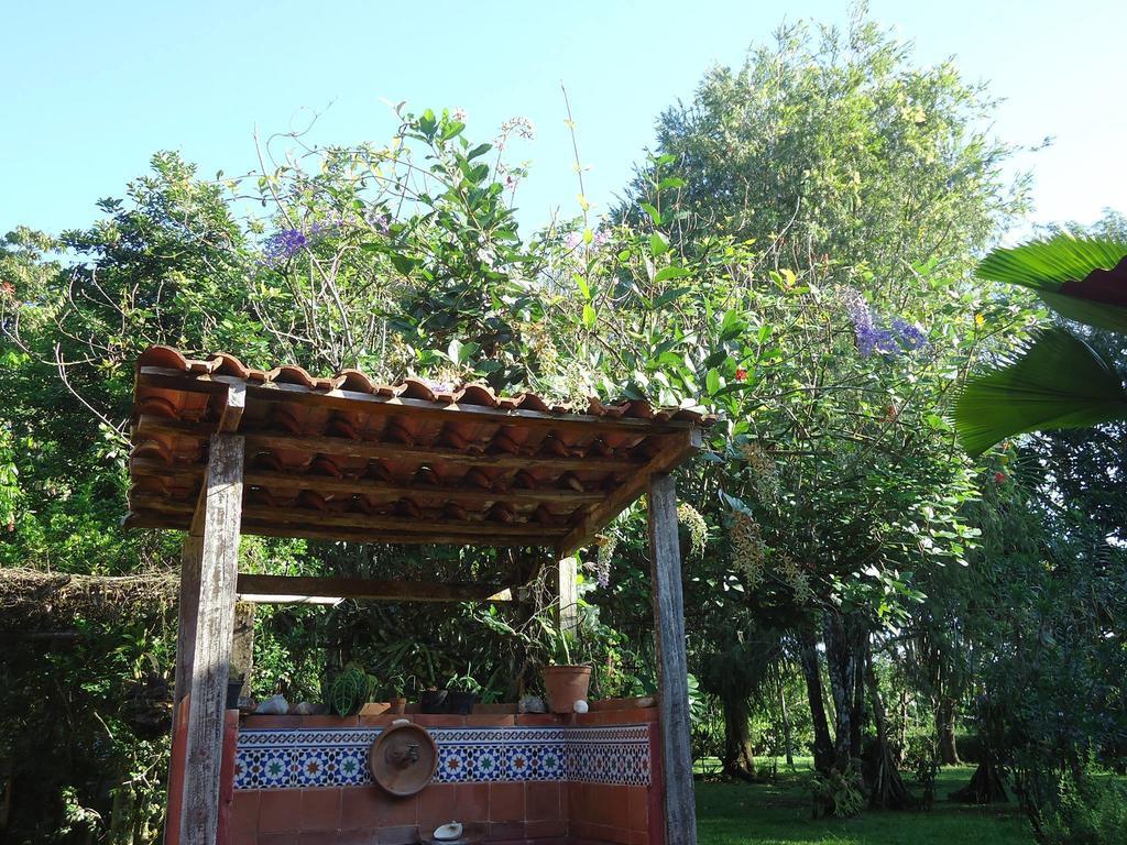 Hotel Veragua River House Sierpe Eksteriør bilde
