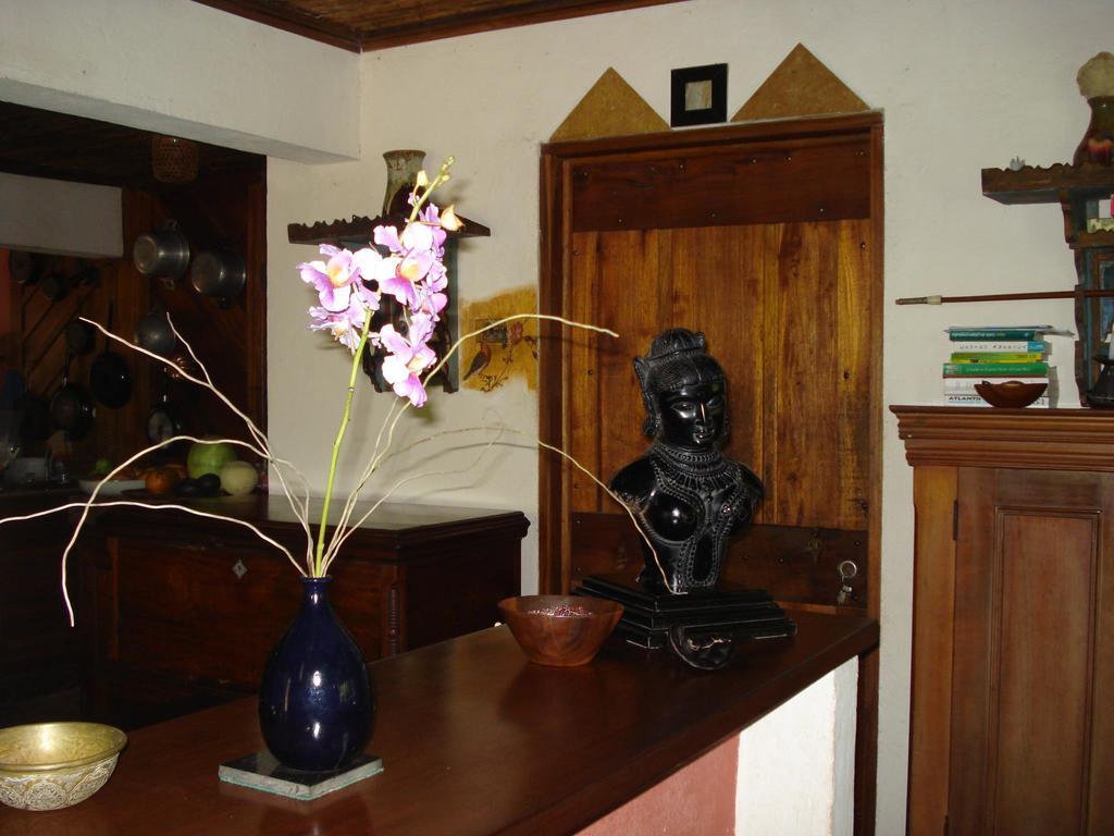 Hotel Veragua River House Sierpe Eksteriør bilde